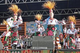 Забава для галочки