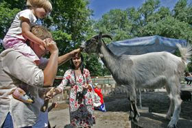 У зоопарку стає тісніше