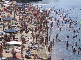 То не вітри з полонини...