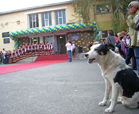 Кіно у клубі