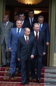 Коні не винні