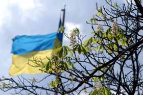 Знову цвітуть каштани...