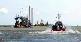 Морська свинка