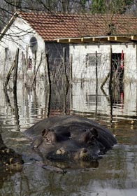 Засніжило, залило