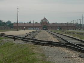Дорогою болю