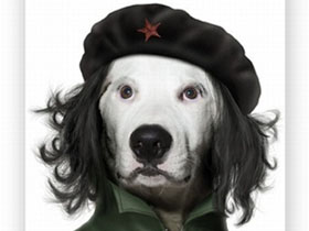 Хвостатий партизан