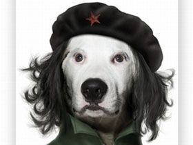 Хвостатий партизан