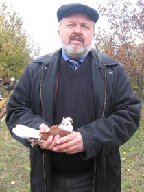 Коріння і крона козацького дуба