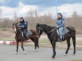 Сталкери на велосипеді