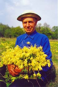 І прорости цілющим зіллям...