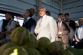 Азаров і капуста: тепер онлайн