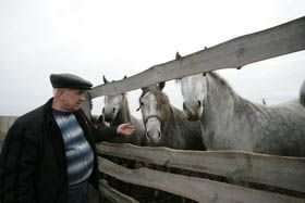 «Пане Президенте, не давайте дотації аграріям!»