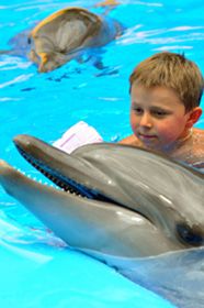 Дельфіни лікують дітей