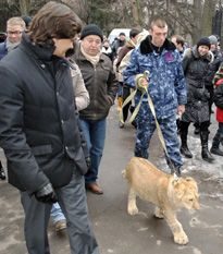 Як на Річі іменини...