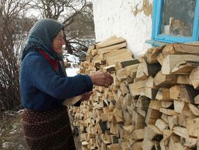 Енергетична верба замість газу