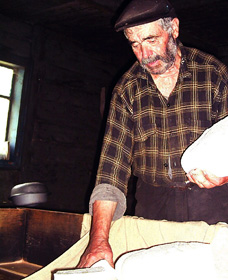 Реінкарнація вівці