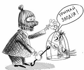Папуги для коханої