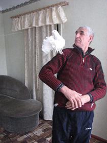 Любов і голуби