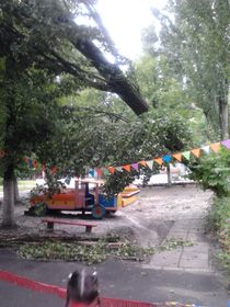 Злiї буревії