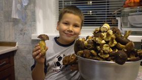 Грибок–грибок, стрибай у кузовок!