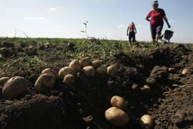 І не з’їси, й не продаси...