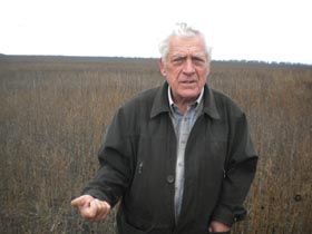 Аукцiон вам у помiч