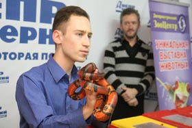«Рік Чорної Змії в мене асоціюється з парагвайською анакондою»