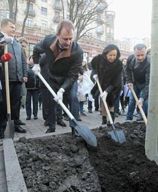 Дерев’яний піар