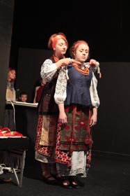 Експонат iз криноліном