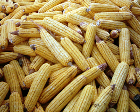 Тепло з качана