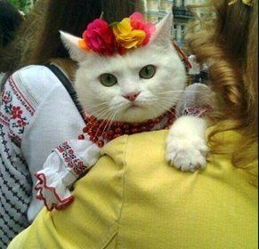 У черзі за Надією