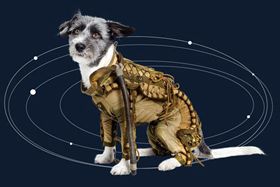 «Прикид» для собаки-космонавта