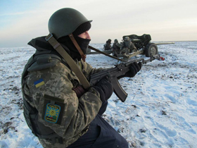 Битий ведмідь