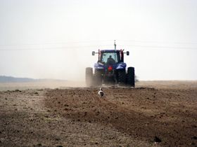 Поле податком не засієш