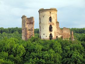 За відсутності коштів на консервування і реставрацію Червоногородський замок у с. Нирків, як і більшість інших пам’яток, поступово руйнується.
