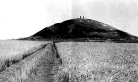 Чуття пекторалі