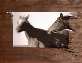 Виставка про коней