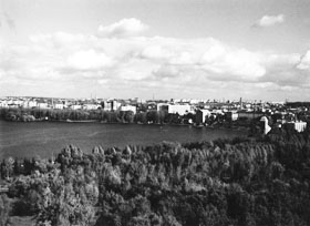 Хто вкорочує терновий корінь?