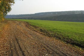 Аукціони для Одеси