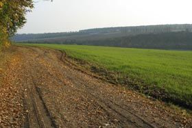 Аукціони для Одеси