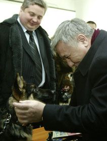 Тузла приїхала в Київ